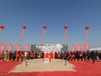 仿古建筑設計與施工流程解析，每一步都是匠心沉淀